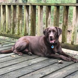 Meet your Posher, Nathan